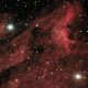 Pelican Nebula